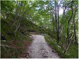 Planina Polog - Source of Tolminka